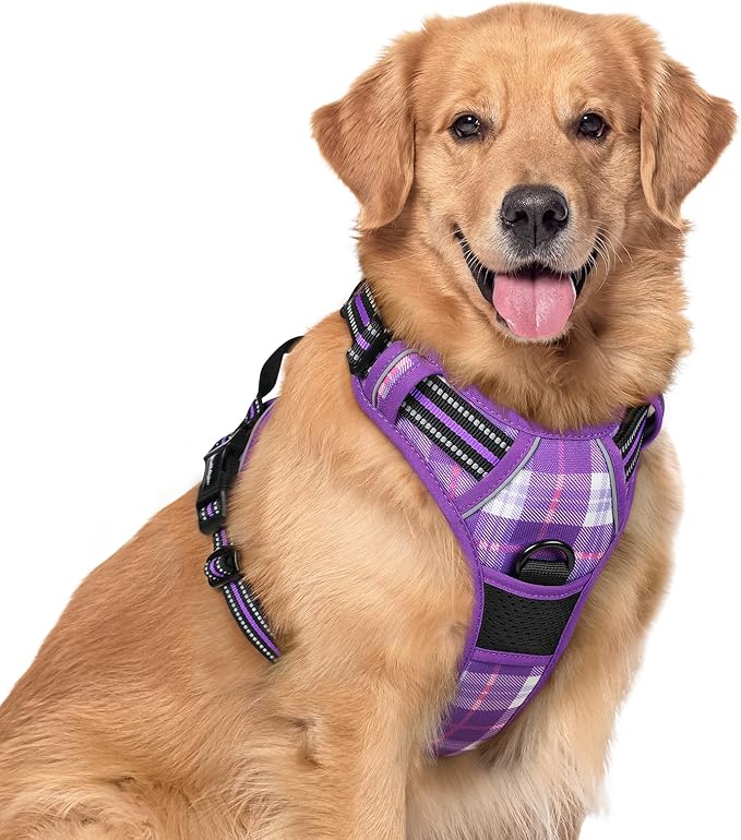 rabbitgoo Dog Harness No Pull with 2 Leash Clips, Adjustable Soft Padded, Reflective Oxford No Choke Pet Vest with Easy Control Handle for Large Dogs, Purple Plaid, XL