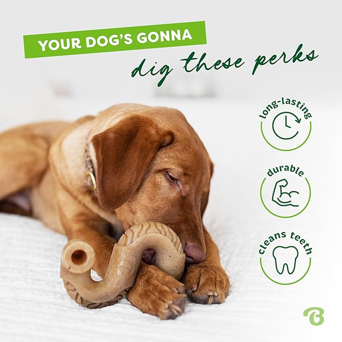 Benebone Tripe Bone Durable Dog Chew Toy for Aggressive Chewers, Real Tripe, Made in USA, Small