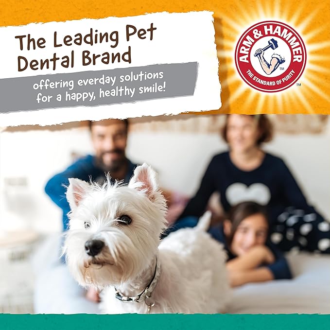 Arm and Hammer Nubbies T-Bone Dental Dog Chew Toy with Peanut Butter Flavor, TPR Nubs Clean Teeth and Gums, Durable Nylon Chew for Aggressive Chewers, Helps Reduce Plaque and Tartar