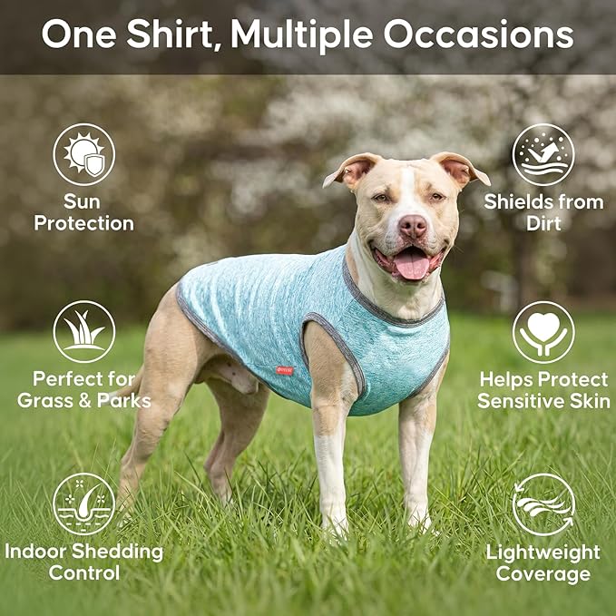 KYEESE 2Pack Dog Shirt, Lightweight Sun Protection Sleeveless Dog T Shirts for Small Dogs Boy, Breathable Pet Reflective Tank Top Summer Dogs Clothes for Outdoor Walking, Grey+Sky Blue, M