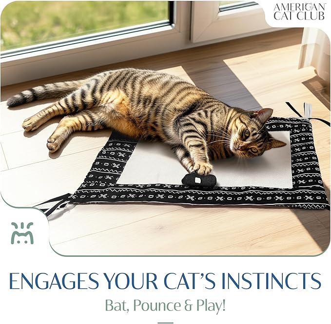 American Cat Club Reversible Crinkle Cat Mat with Mouse Toy – Black Mudcloth Pattern, Interactive Crinkle Play Mat for Cats, 18” x 13”