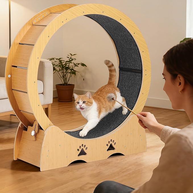 GarveeLife Cat Exercise Wheel, Wooden Cat Running Treadmill with Carpeted Runway for Indoor Cats, Low Noise Removable Carpet Cat Wheel for Kitty Running Walking Training