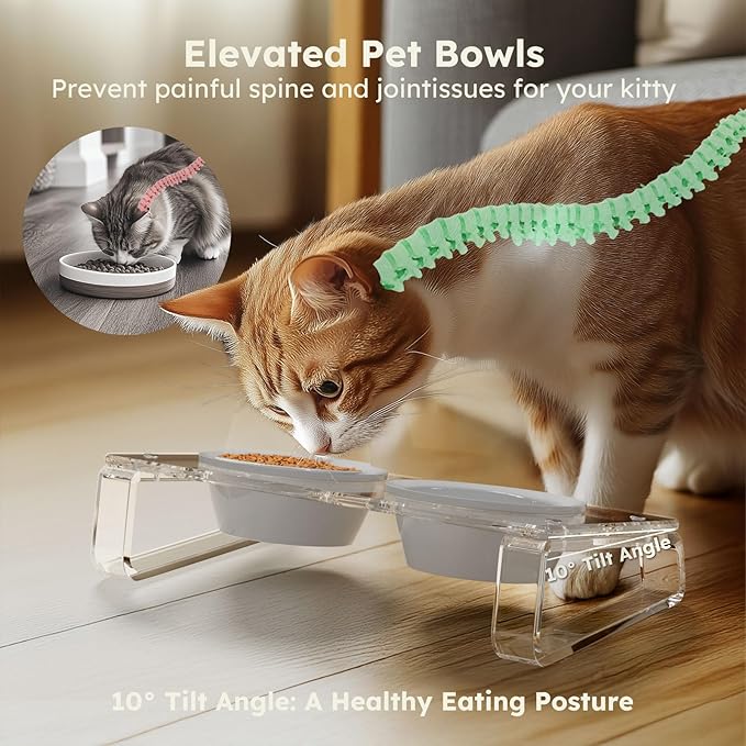AITEE Elevated Cat Food Bowl, Ceramic Raised and Tilted Water Bowl, Non-Slip Ceramic Dog Bowls for Puppy and Kitten Cats 45.8 OZ