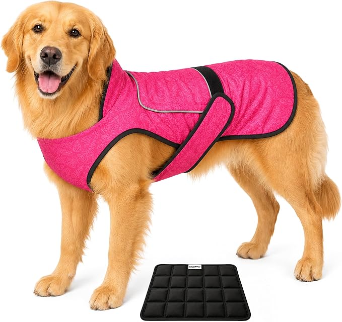 Dog Cooling Vest with Ice Pack – 2-Layer Evaporative Cooling Jacket with High Collar, UV Protection & Size-Matched Ice Pack – Cooling Vest for Dogs for Hot Weather (Pink Floral, X-Large)