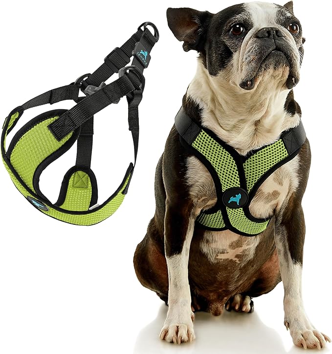Gooby Comfort X Step in Lite Dog Harness - Choke Free, Escape Free with Light Breathable Mesh - Step in Dog Harness for Small Dogs Only - Quick Release Buckle, Metal D-Rings - Green, X-Small