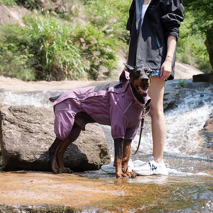 LOVELONGLONG Waterproof Dog Raincoat with Removable Hood – Outdoor Full Body Dog Jacket, Windproof Snowproof Shell Suit – All Season Pet Rain Gear Plum Purple XS