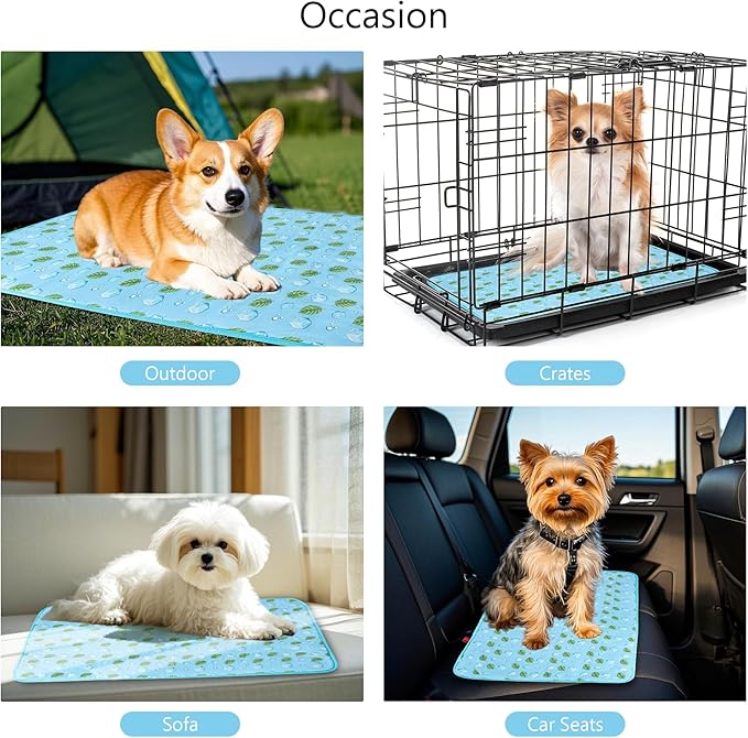 DELIFUR Cat Cooling Mat- Pet Cooling Mat Outdoor for Dogs Ice Pad for Kitten Cat Puppy Machine Washable (Medium, Blue Ice)