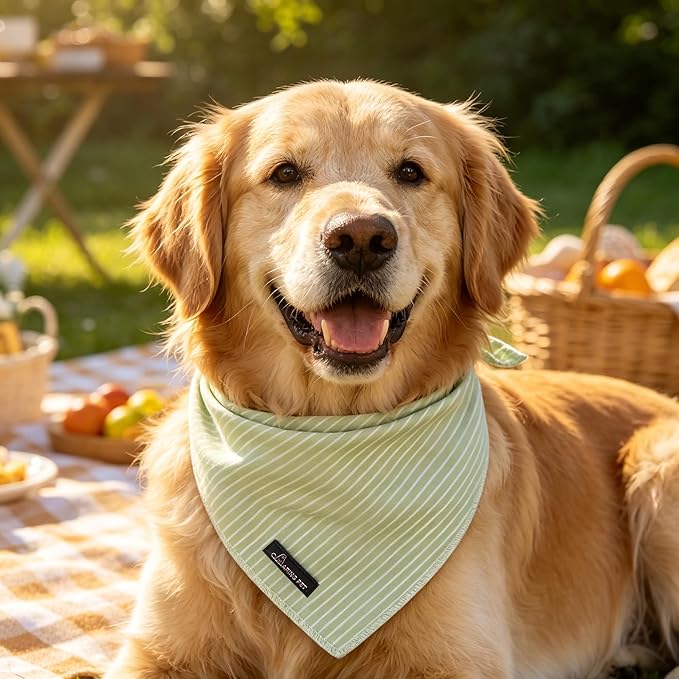 ARING PET Summer Dog Bandana-Cute Green Dog Bandanas, Comfortable Pet Scarf Dogs Triangle Bibs for Small to Large Boy Girl Dogs and Cats