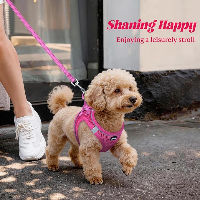 YIMEIS Dog Harness and Leash Set, No Pull Soft Mesh Pet Harness, Reflective Adjustable Puppy Vest for Small Medium Large Dogs, Cats (Rose Red, Medium (Pack of 1)