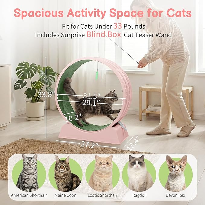 Outvita Cat Exercise Wheel for Indoor Cats, 31.5" Cat Treadmill with Detachable Carpet ＆ Locking Mechanism, Cats Running Wheel Helps Cats to Lose Weight and Keep Health, Easy Assembled (Pink)