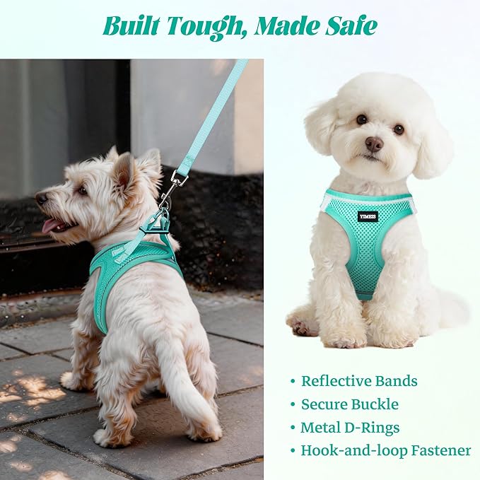 YIMEIS Dog Harness and Leash Set, No Pull Soft Mesh Pet Harness, Reflective Adjustable Puppy Vest for Small Medium Large Dogs, Cats (Tiffany Blue, X-Small (Pack of 1)