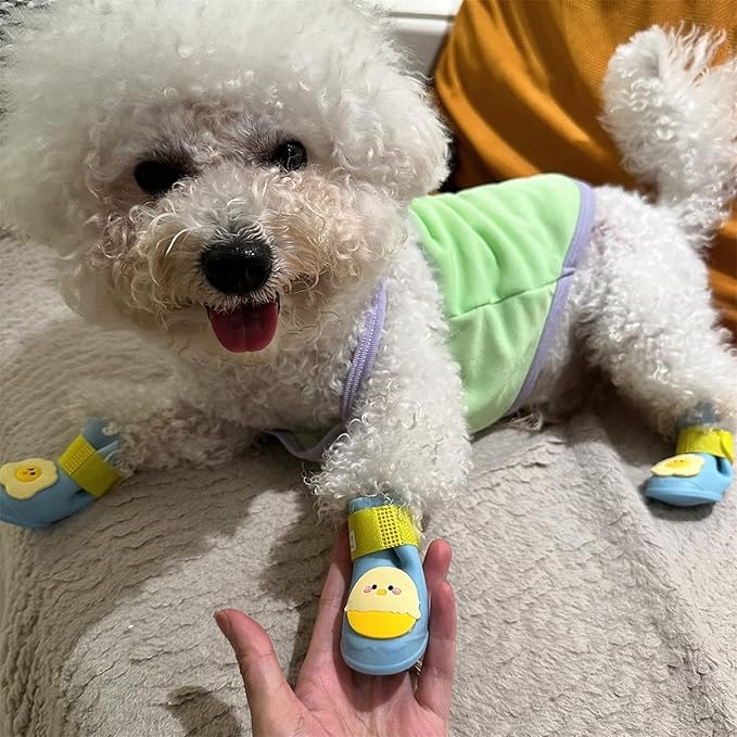 4Pcs Waterproof Egg Pattern Dog Boots Dog Shoes for Snow and Rain Teddy Pomeranian Bichon Small Dogs (Blue, Small)