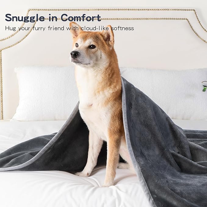 Waterproof Dog Blankets, 30"x40" Cat Blanket for Indoor Cats, Soft Fluffy Sofa Car Bed Protector, Reversible Leakproof Flannel Puppy Blanket for Small Medium Dogs(Dark Grey)