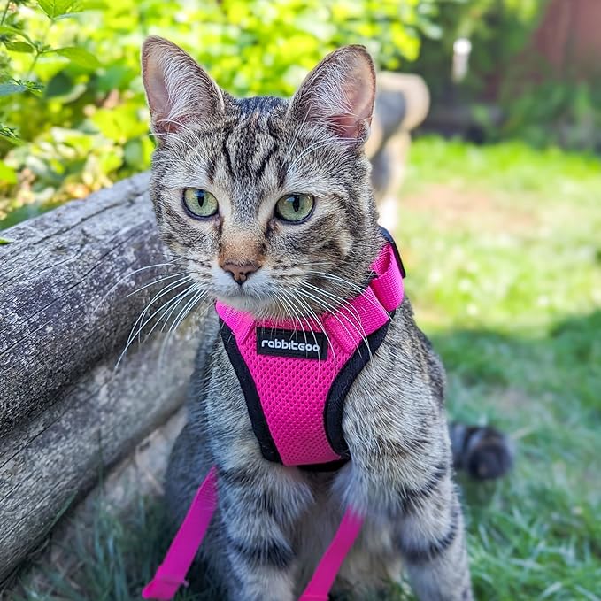 rabbitgoo Cat Harness and Leash Set, Escape Proof Vest Harness for Safe Outdoor Walks, Soft Breathable Adjustable Vest with Reflective Strips for Average to Large Cats, Rose Red, M