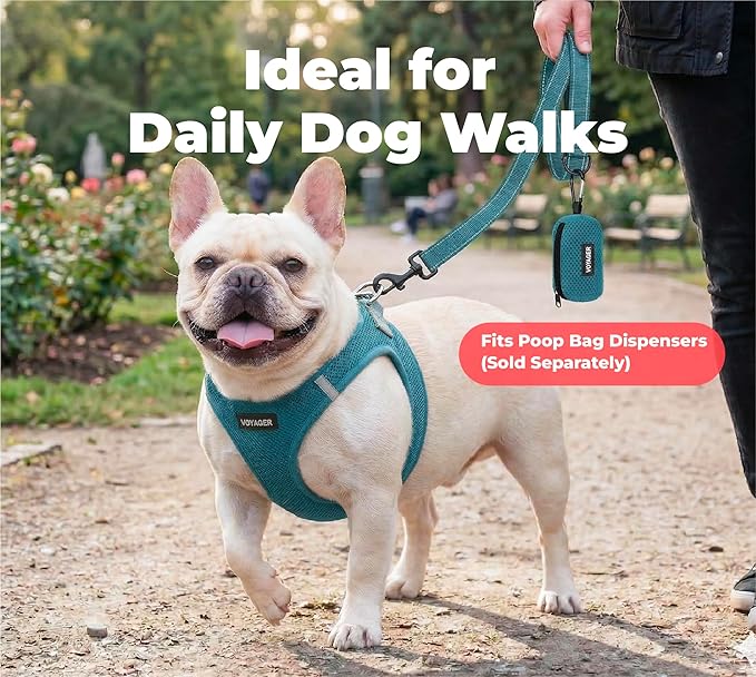 Best Pet Supplies Voyager Reflective Dog Leash or Collar with Neoprene Handle, for Small, Medium, and Large Breed Puppies, Cute and Heavy Duty for Walking, Running and Training - Turquoise (Leash), S