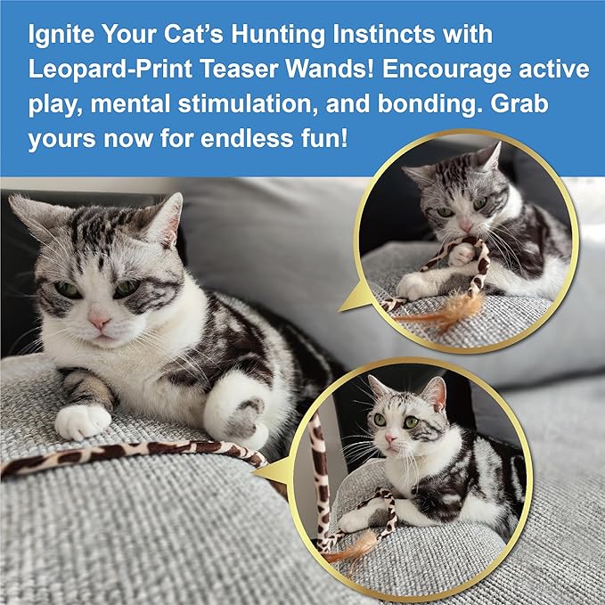 PetLike 25pcs Interactive Cat Toys Set Collapsible Cat Tunnel Interactive Feather Teaser Wand,Spring Toys & Balls for Indoor Cats (Black, 25x55cm)