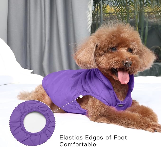 JoyDaog 2 Layers Fleece Lined Warm Dog Jacket for Puppy Winter Cold Weather,Soft Windproof Small Dog Coat,Purple S