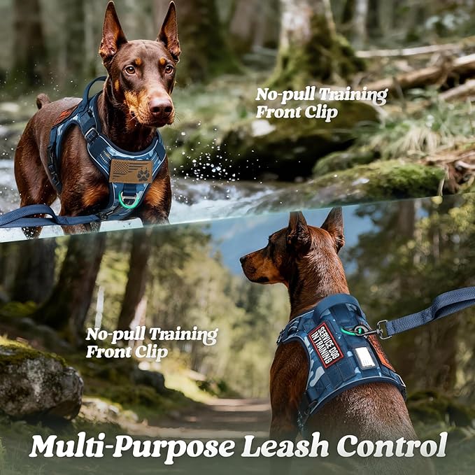 rabbitgoo Dog Harness for Large Dogs No Pull, Tactical Service Pet Vest with Molle and Control Handle, Adjustable and Reflective Military Harness for Easy Walking and Training, Blue Camo, L