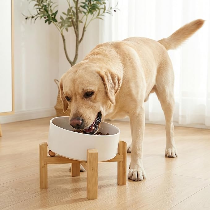 hjn Elevated Ceramic Dog Bowl 15°Slanted Raised Dog Bowl with Bamboo Stand for Small Medium Dogs and Cats, Pet Feeder -7.6-Cup (1800ml)-White