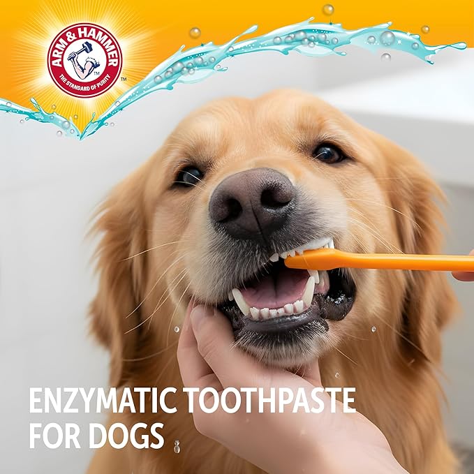 Arm & Hammer Complete Care Dog Dental Kit Enzymatic Toothpaste 2.5 OZ Chicken Flavor Toothbrush Finger Brush Tartar Baking Soda Formula