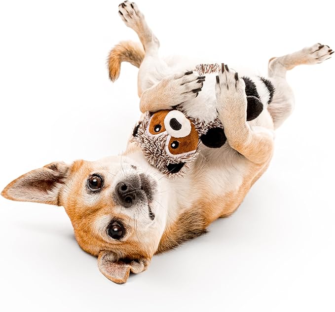 Playology Dog Toys | Plush Racoon Stuffed Animal for Dogs | Sweet Potato Scented Small Squeaky Toy | Plush Chew Toy for Dogs