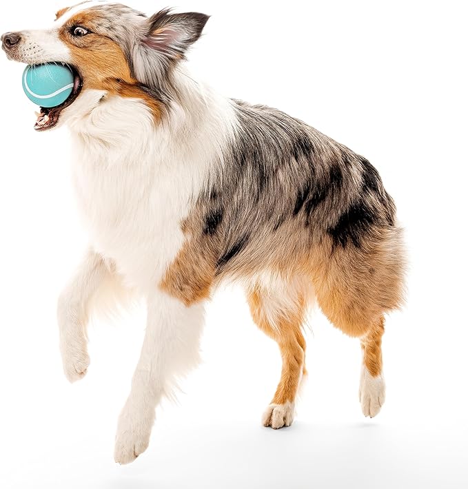 Playology Dog Toys | Squeaky Chew Ball for Large Dogs | Peanut Butter Scented Jumbo Dog Ball | Bouncy Floating Chew Toys for Fetch