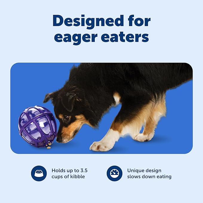 PetSafe Busy Buddy Kibble Nibble - Dog Toy - Treat and Food Dispenser - Slow Feeder - Medium/Large
