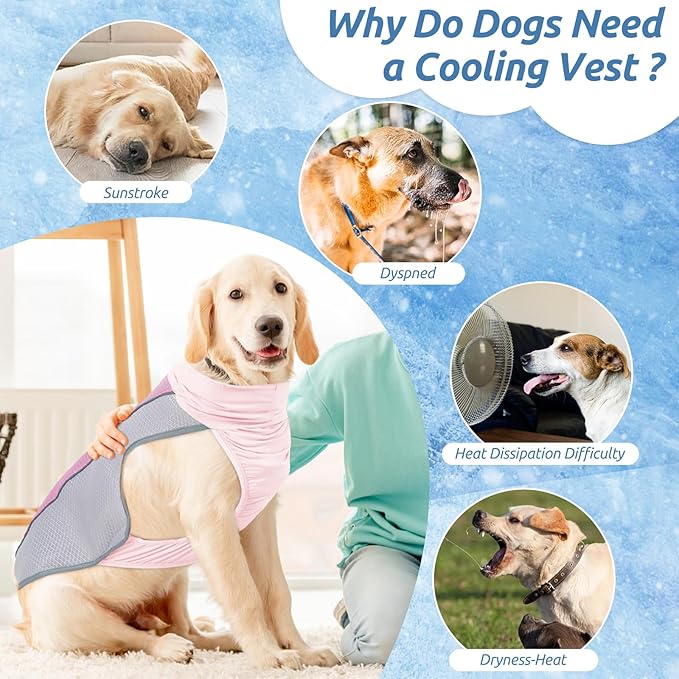 Dog Cooling Vest for Summer, Breathable Mesh Cooling Shirt Jacket for Dogs Summer Heat Relief, Lightweight Cooling Dog Harness Pet Cooler Suit for Outdoor Hiking Walking Hot Weather(Blue XL)