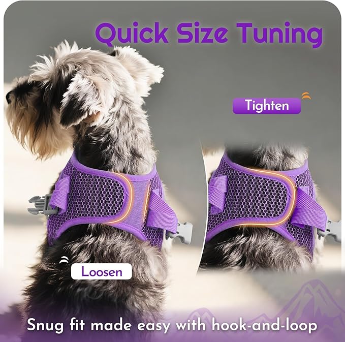 Eagloo Small Dog Harness and Leash Set, Step in Puppy Vest with Breathable Soft Mesh, Walking Reflective Pet Harness for Small Dogs, Pink, S