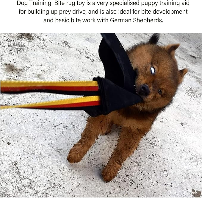 Dog Bite Rag, Leather Interactive Tug of War Toy with Handle for Dog Training, Training Supplies, Flirt Pole for Dogs, Agility Equipment for K9