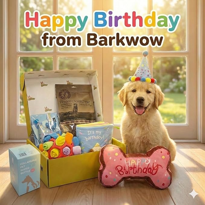 Birthday Box for Dogs, Hide & Seek Toy, Snuffle Ball, Plush Bone, Treats, Water Bottle, Hat, Bandana, All Breeds