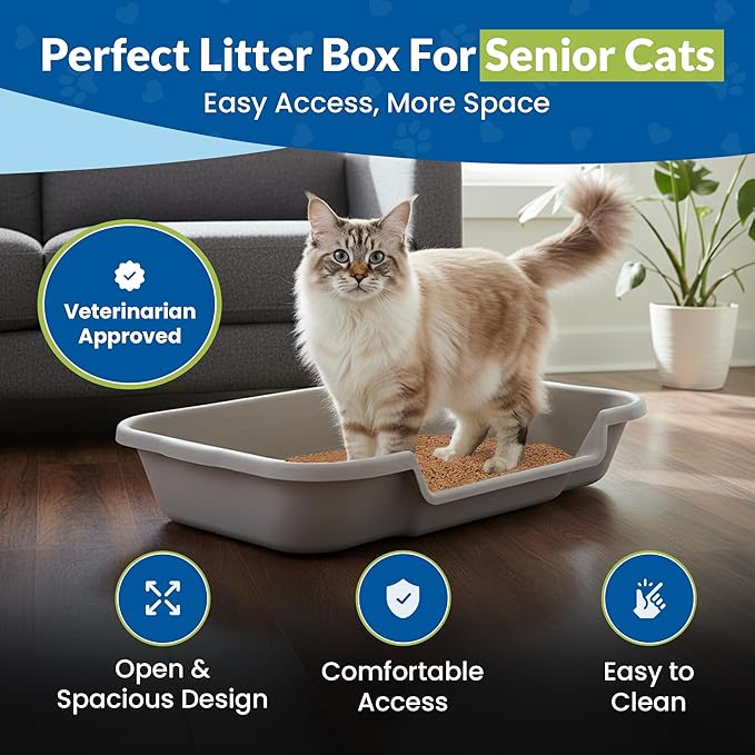 KittyGoHere Senior Cat Litter Box, Large Litter pan with Long-Handle Jumbo Scoop, Open Top Low Entrance Kitty Litter Box, Lightweight Low Entry Litters Box, Durable, Made in USA (2 Pack - Misty Gray)