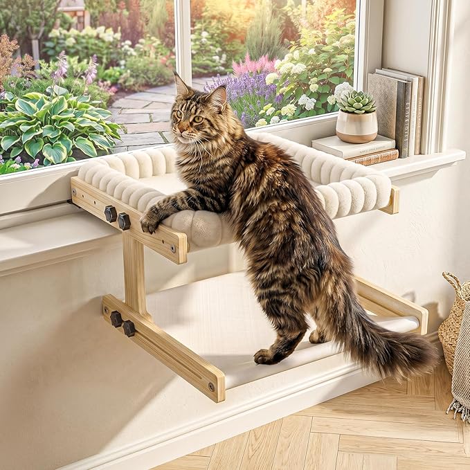 XiaZ Cat Perch for Window Cats Hammock Indoor Bed for Window Adjustable Wooden Frame Bird Watching Sunbathing Space-Saving Double Layer 18 * 16 * 10inch (Small Breeds Recommended)