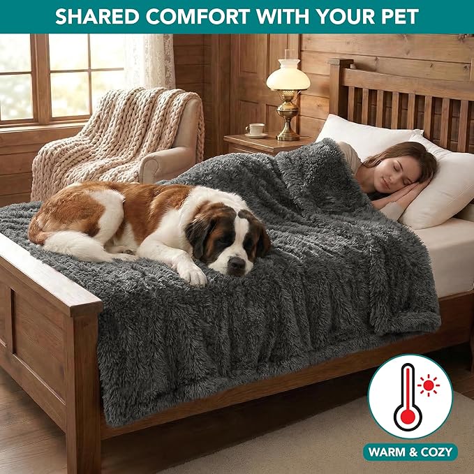 PetAmi Fluffy Waterproof Dog Blanket for Couch and Bed, Reversible Sherpa Pet Throw, Pee Proof Furniture Protector Sofa Cover, Washable Cat Blanket for Medium Large Dogs and Cats (Grey, 60x80)
