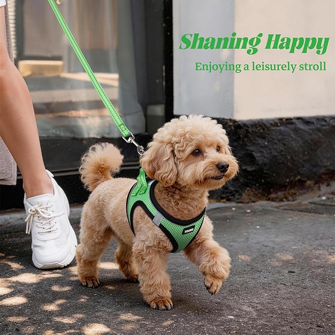 YIMEIS Dog Harness and Leash Set, No Pull Soft Mesh Pet Harness, Reflective Adjustable Puppy Vest for Small Medium Large Dogs, Cats (Grass Green, Medium (Pack of 1)