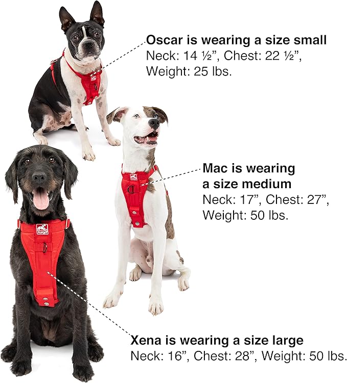 Kurgo Enhanced Strength Tru-Fit Dog Car Harness - Pet Travel Safety Harness - Crash Test Certified Fit - Five Point Adjustment - Secure Buckle - Padded Chest - Ink Blue - Small