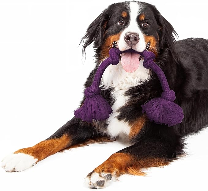 Playology Dog Toys | Dri-Tech Rope Tug of War Dog Toy for Tough Chewers | Bacon Scented Mega Size Tug Rope Toys for Extra Large Dogs