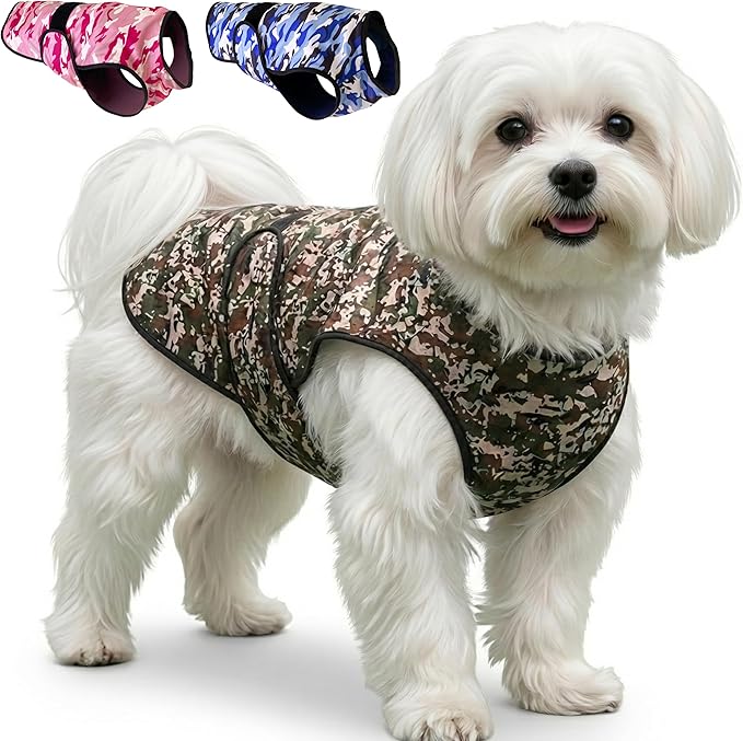 Dog Cooling Vest - 2-Layer Cooling with Soft Microfiber Fabric - Lightweight, Adjustable and Comfortable - UV Protection for Small to Large Dogs - Relief in Hot Weather (Green, X-Small)
