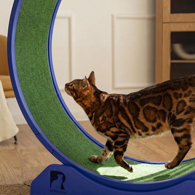 Cat Exercise Wheel, 39.4 Inch Indoor Treadmill for Cats with Carpeted Runway, Screw-Fixed Assembly for Easy Setup, Silent & Safe Fitness Equipment for Most Cats