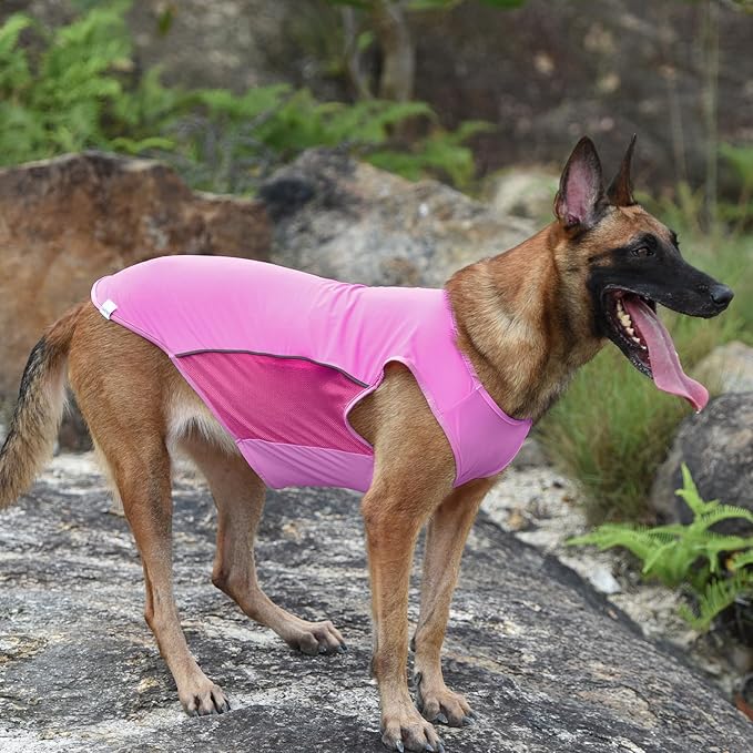 UPF 50+ Sun Protection Dog T-Shirt, 2 Pack Lightweight Sleeveless Dog Vest for Small Dogs Girl – Reflective Strips, Quick-Dry Pet Apparel, Sports Fan Shirt P23ST00504M