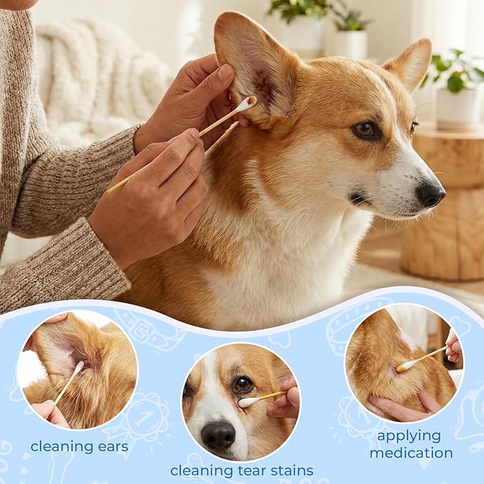 6 Inch Large Cotton Swabs for Dog Ear Cleaning - Extra Long Handle Dog Ear Swabs, Soft & Absorbent Big Cotton Tips, Perfect for Pet Care & Daily Grooming (200 Pcs)