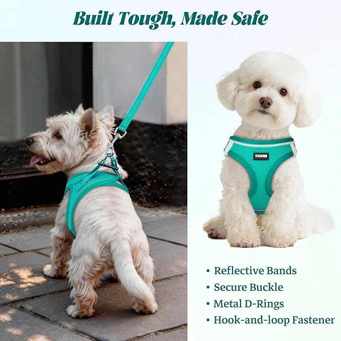 YIMEIS Dog Harness and Leash Set, No Pull Soft Mesh Pet Harness, Reflective Adjustable Puppy Vest for Small Medium Large Dogs, Cats (Turquoise, Medium (Pack of 1)