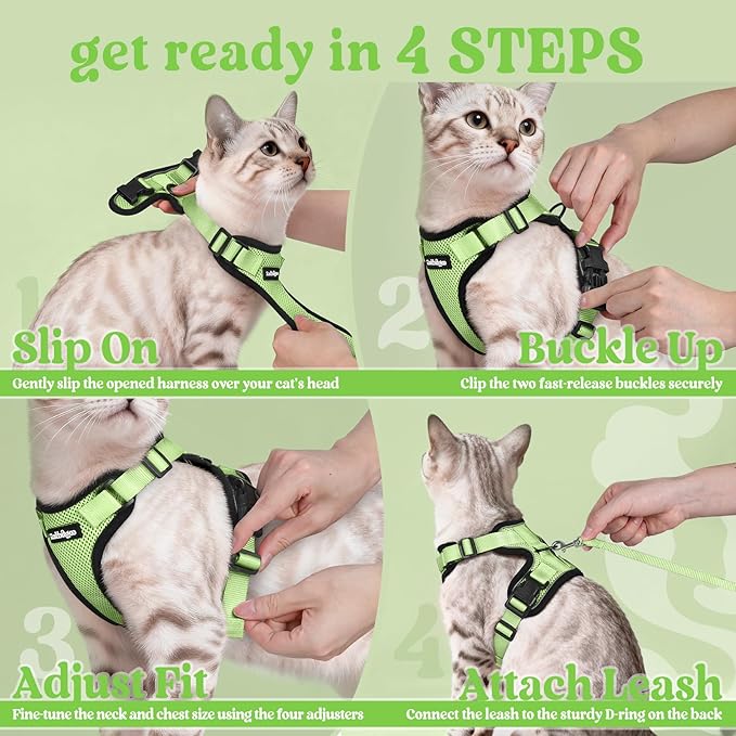 rabbitgoo Cat Harness and Leash Set, Escape Proof Kitten Harness for Safe Outdoor Walks, Soft Breathable Adjustable Vest with Reflective Strips for Kittens and Extra Small Cats, Light Green, XXS