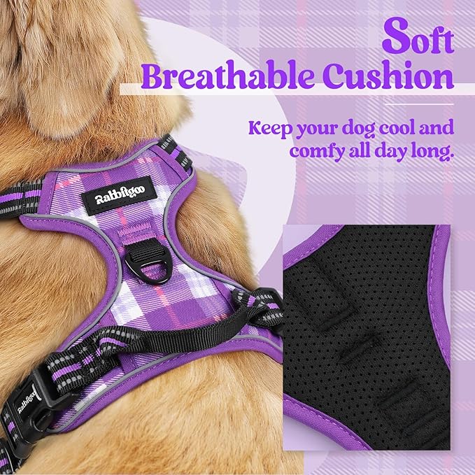rabbitgoo Dog Harness No Pull with 2 Leash Clips, Adjustable Soft Padded, Reflective Oxford No Choke Pet Vest with Easy Control Handle for Small Dogs, Purple Plaid, S