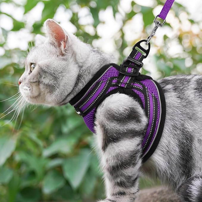 rabbitgoo Cat Harness and Leash, Step-in Escape Proof Kitten Harness Set, Soft Comfortable Cat Vest, Easy to Wear and Adjust, Reflective for Safe Outdoor Walking, Purple, Medium