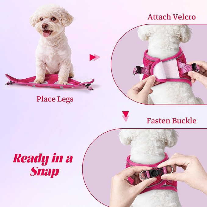 YIMEIS Dog Harness and Leash Set, No Pull Soft Mesh Pet Harness, Reflective Adjustable Puppy Vest for Small Medium Large Dogs, Cats (Rose Red, X-Small (Pack of 1)