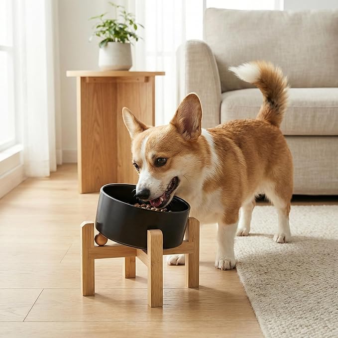 hjn Elevated Ceramic Dog Bowl/Raised Ceramic Dog Bowls with Bamboo Stand, 15°Slanted Raised Pet Feeder for Small Medium Dogs and Cats, Non-Slip Heavy Weighted Design (Black, 3.6Cup)