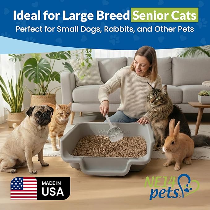 KittyGoHere Senior Cat Litter Box, Jumbo Litter pan with Long-Handle Jumbo Scoop, Open Top Low Entrance Kitty Litter Box, Lightweight Low Entry Litters Box, Durable, Made in USA (2 Pack - Misty Gray)