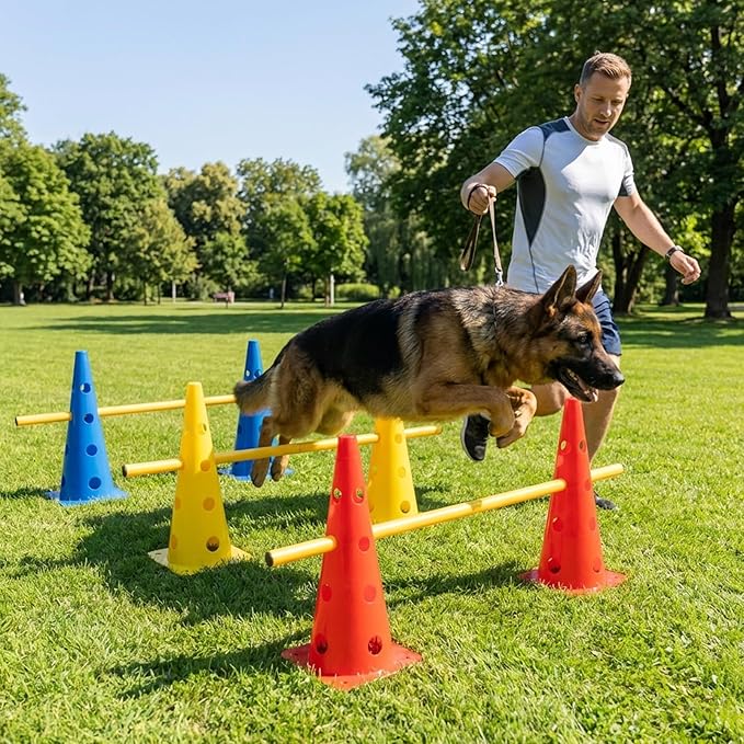 Dog Agility Hurdle Cone Set, 10er 12.5Inch Color Agility Cones and 5er 31.5Inch Agility Rods, Equipment Obstacle Course Backyard Equipment for Pet Exercise