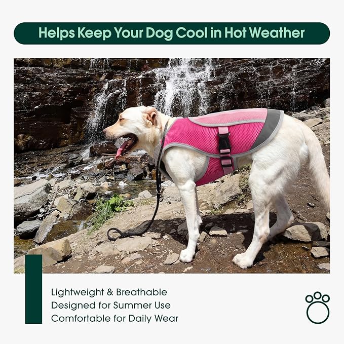 Kuoser Dog Cooling Vest for Dogs, Lightweight Dog Cooling Harness Shirt with Reflective Stripe, Breathable Mesh Cooler Jacket Pet Cool Vest for Small Medium Large Dogs Summer Hot Weather, Pink 2XL